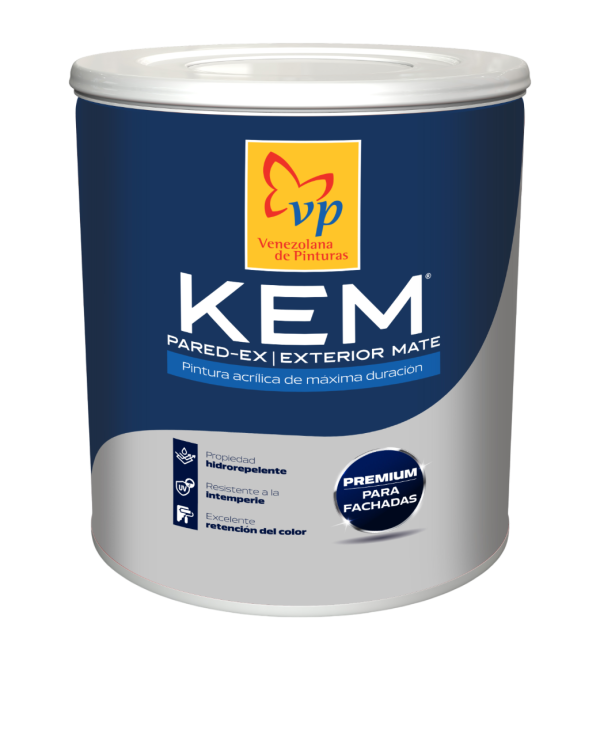 Pintura Kem Pared-Ex